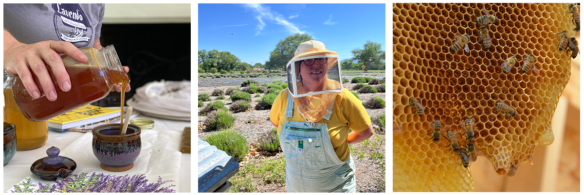Beekeeper, honoey and honey comb at Los Poblanos