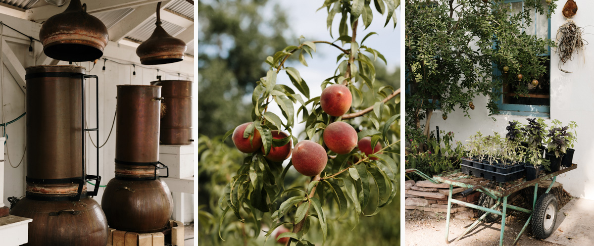 Fall collage at Los Poblanos