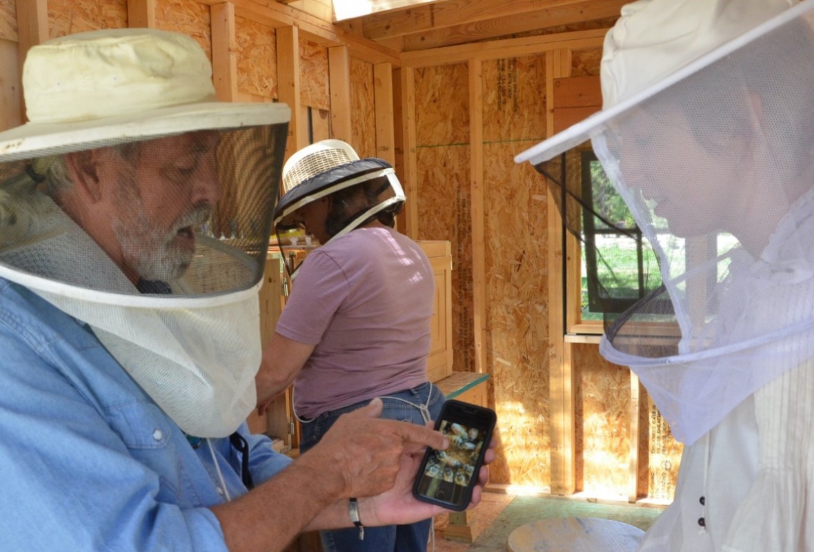 beekeepers working inside bee house 