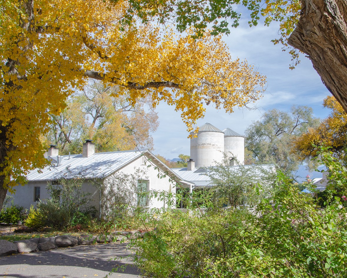 fall on the farm