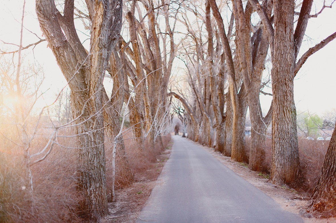 winter driveway photo credit caitlyn ottinger