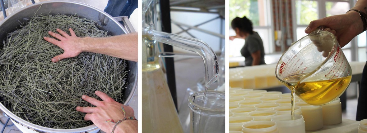 Distillation process at Los Poblanos