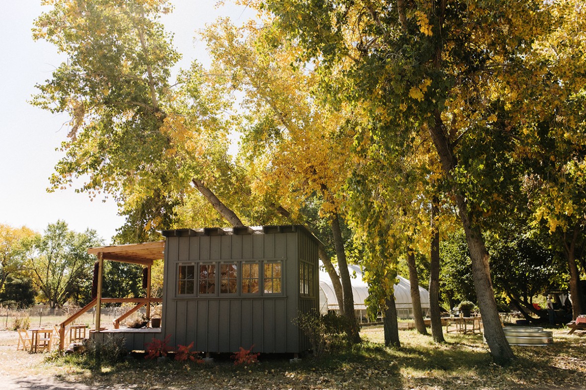 Fall on the farm at Los Poblanos