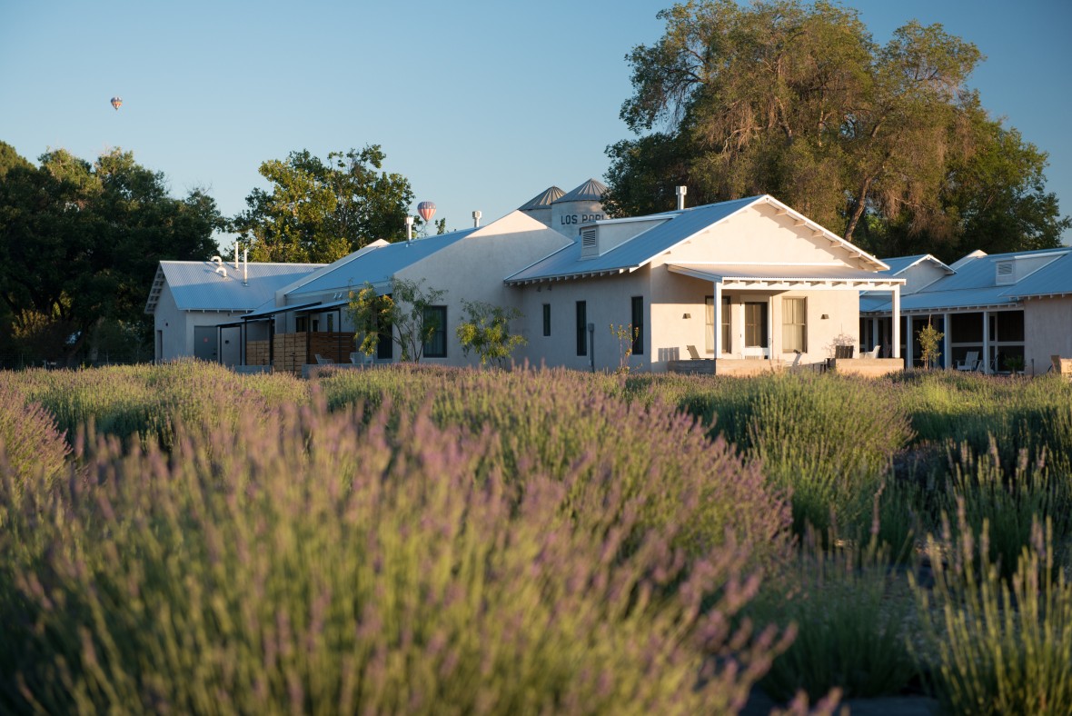 south field rooms at sunrise with lavender in bloom