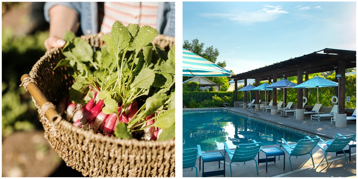 harvest basket and pool 