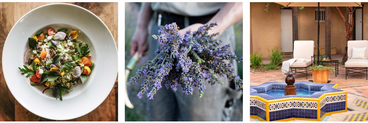 photo set of campo dish, lavender harvest and hacienda spa