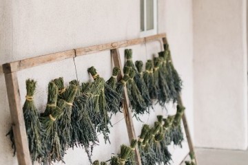 lavender being hung to dry