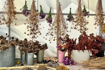 Flowers, herbs and seeds, oh my!