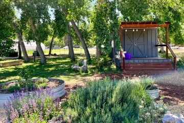 Farm Journal: Early spring in the hives