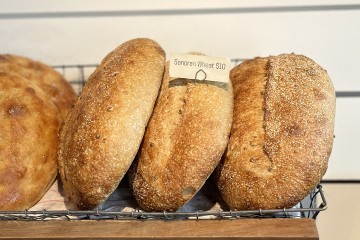 A loaf of White Sonora Wheat bread on a bakery table.