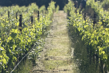 An Enduring Partnership: Martin Woods & Los Poblanos