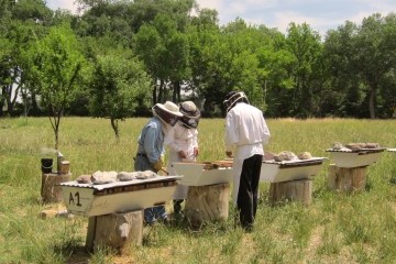 Supporting the pollinators we love