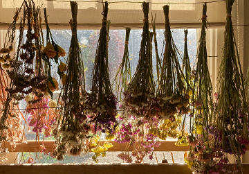 Botanical Dyeing 