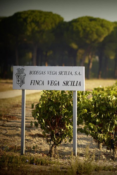 Vega Sicilia tasting event at Los Poblanos